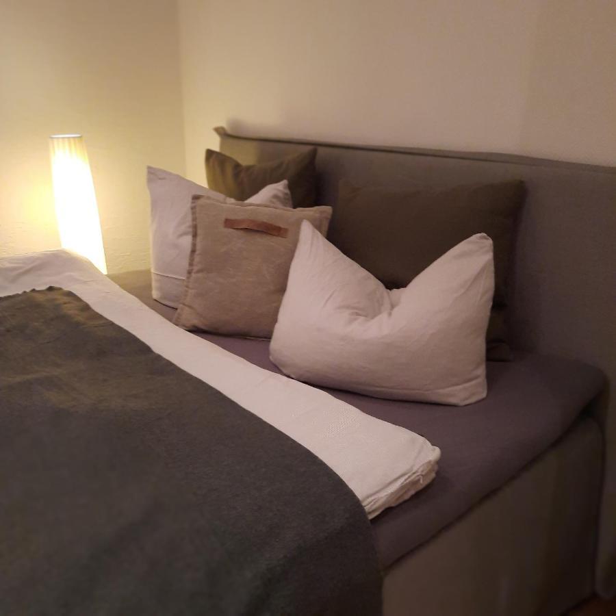 Business-Lodging Apartmenthaus Hoehr-Grenzhausen Ngoại thất bức ảnh